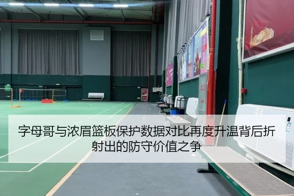 字母哥与浓眉篮板保护数据对比再度升温背后折射出的防守价值之争